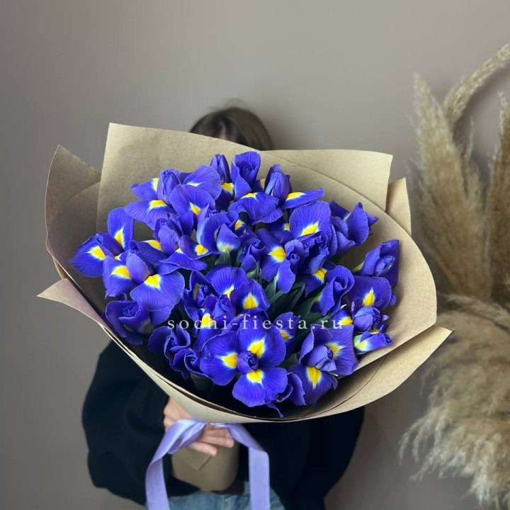 Ирисы в Великом Новгороде