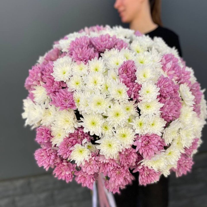  Букет 25 хризантем микс в Великом Новгороде