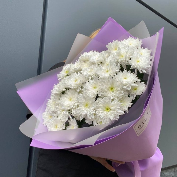  7 хризантем  в Великом Новгороде