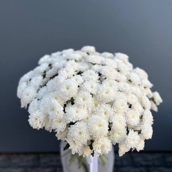  25 хризантем белых в Великом Новгороде