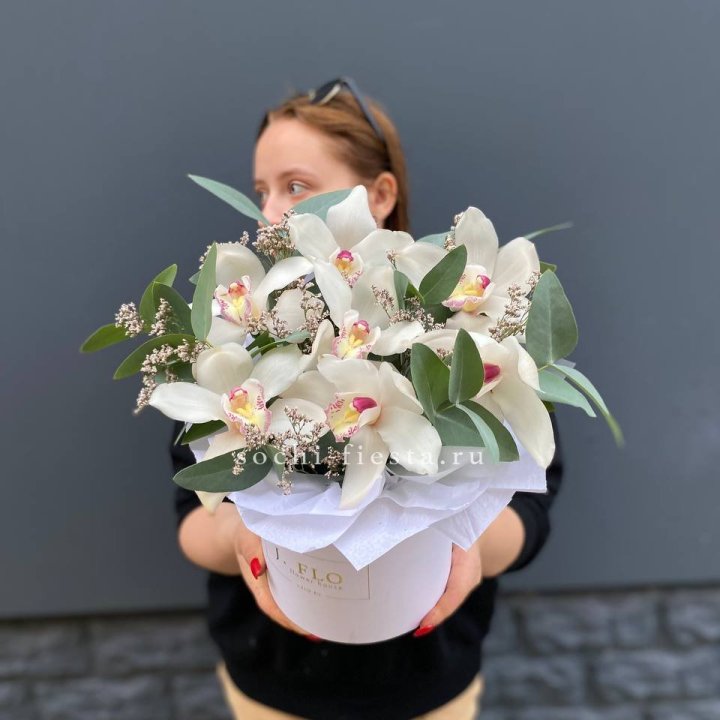 7 орхидей в боксе в Великом Новгороде