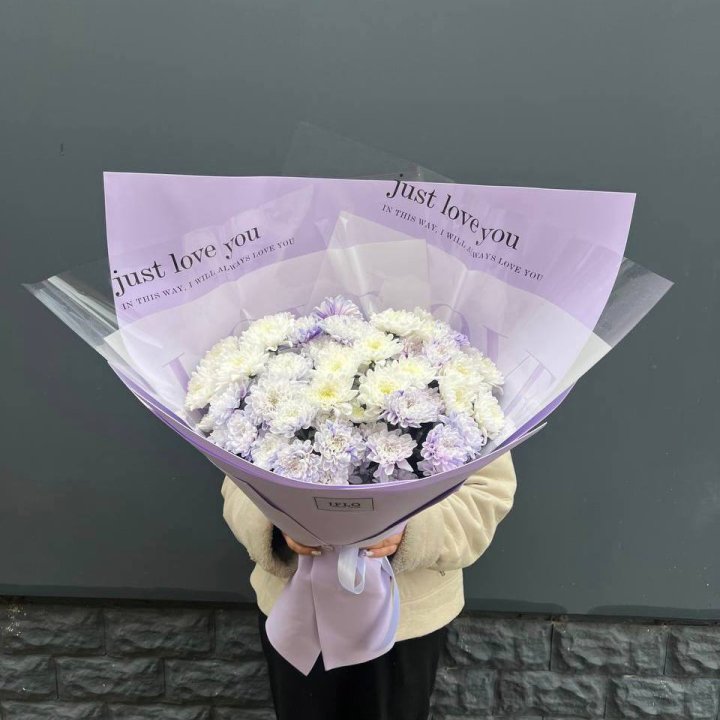 9 воздушных хризантем в Великом Новгороде