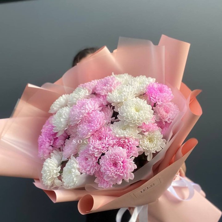  Букет бело-розовых хризантем  в Великом Новгороде