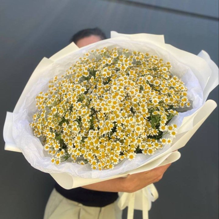 Букет ромашек №2 в Великом Новгороде
