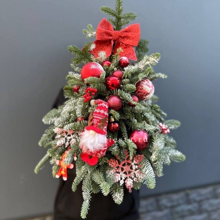 Новогодняя елочка "Ред" в Великом Новгороде