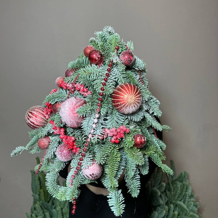 Ёлка красная в Великом Новгороде