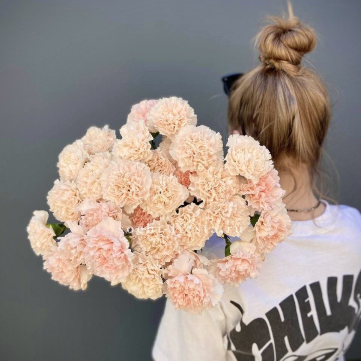 Охапка диантусов  в Великом Новгороде