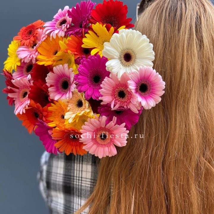 Охапка гербер  в Великом Новгороде