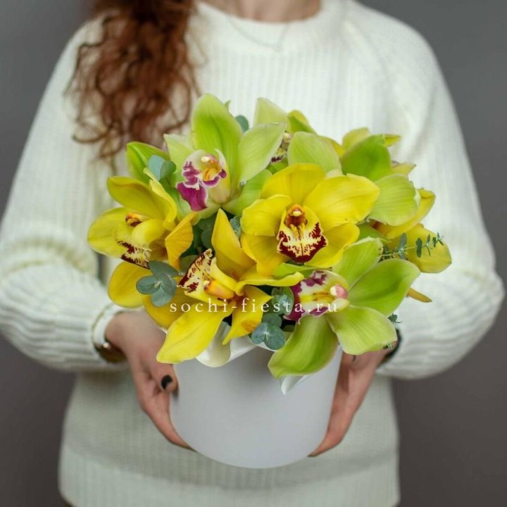 Бокс с орхидей №1 в Великом Новгороде