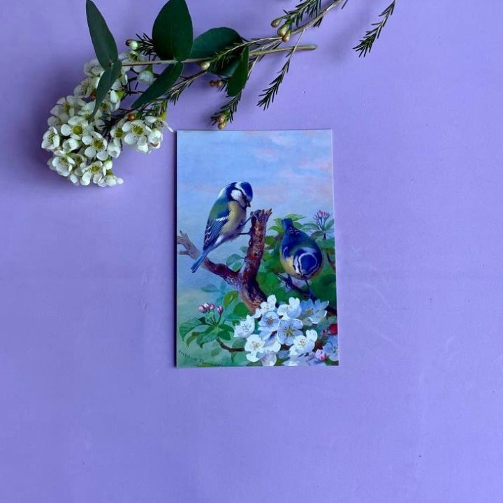 Открытка к букету "Птицы" в Великом Новгороде