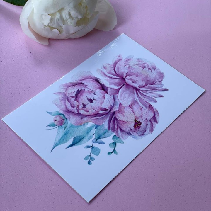 Открытка к букету "Пионы" в Великом Новгороде