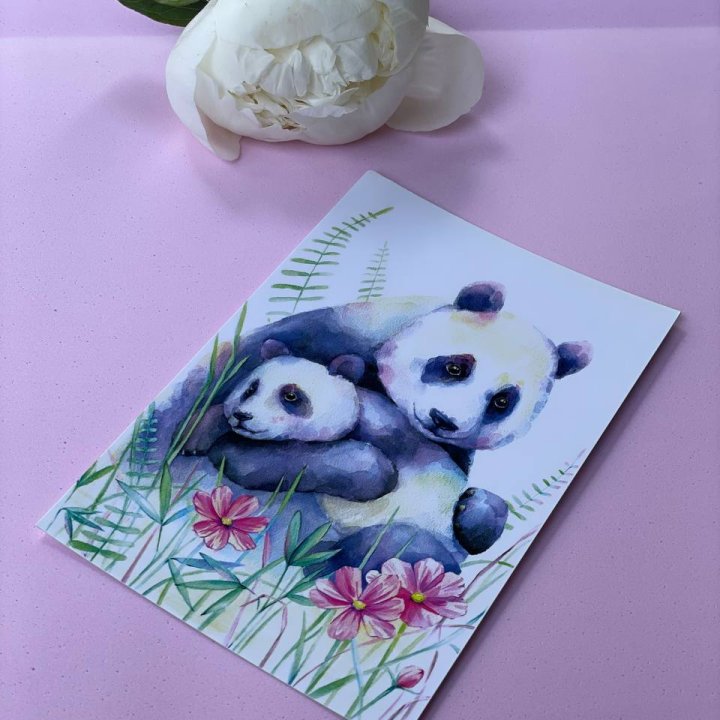 Открытка к букету "Объятие Панды" в Великом Новгороде