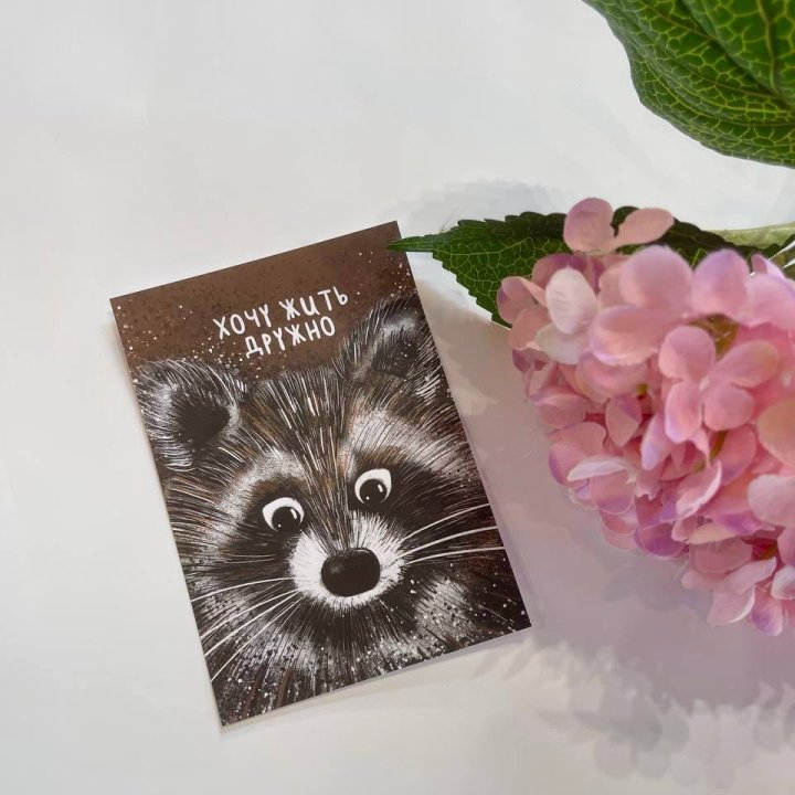 Открытка к букету "Енотик" в Великом Новгороде