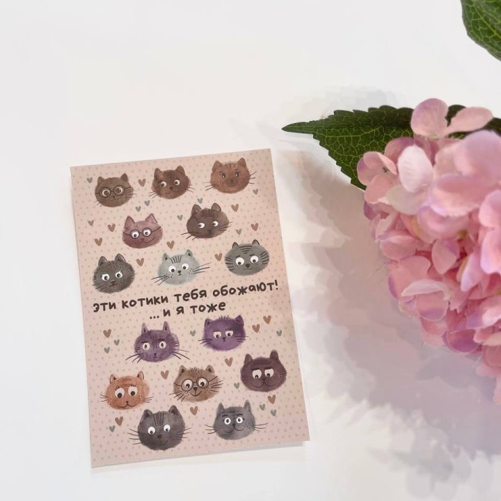 Открытка к букету "Котики" в Великом Новгороде