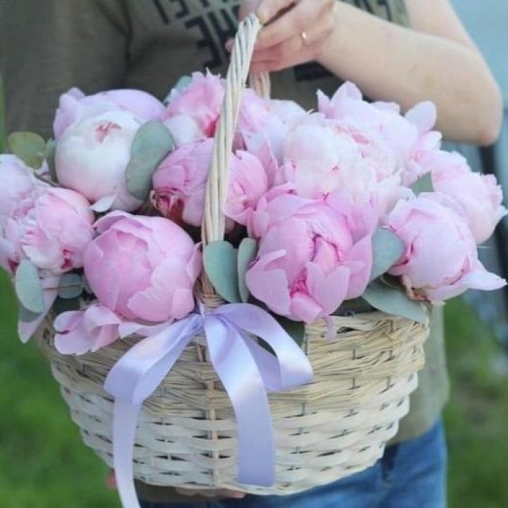 15 пионов в корзине в Великом Новгороде