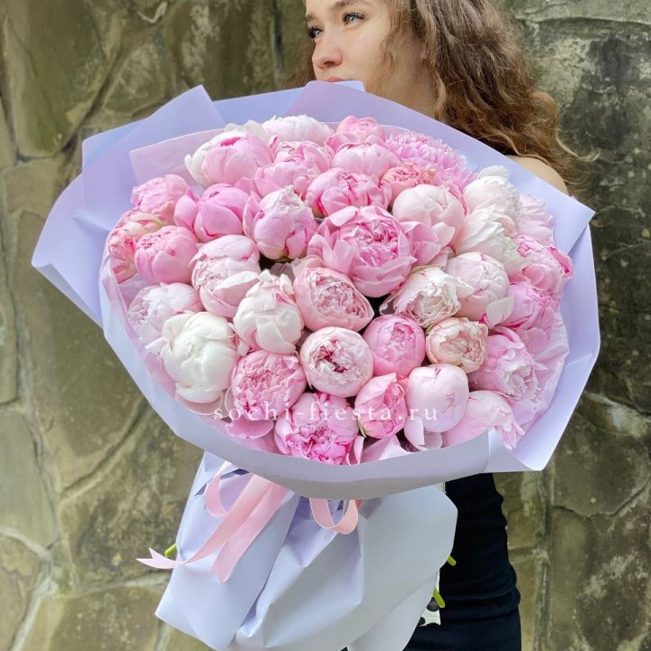 39 нежных пионов в Великом Новгороде