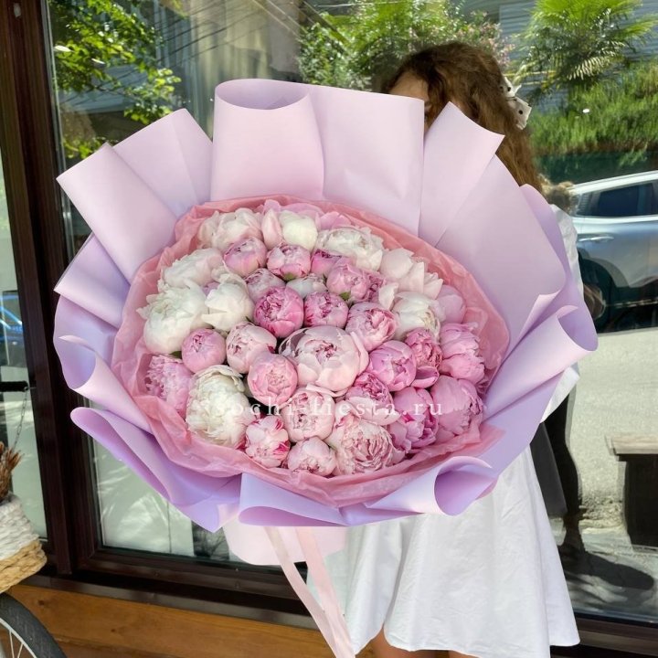 51 розовый пион в Великом Новгороде