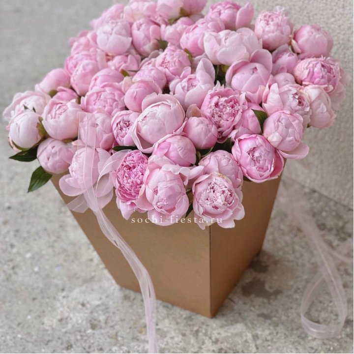 49 пионов в крафт коробке в Великом Новгороде