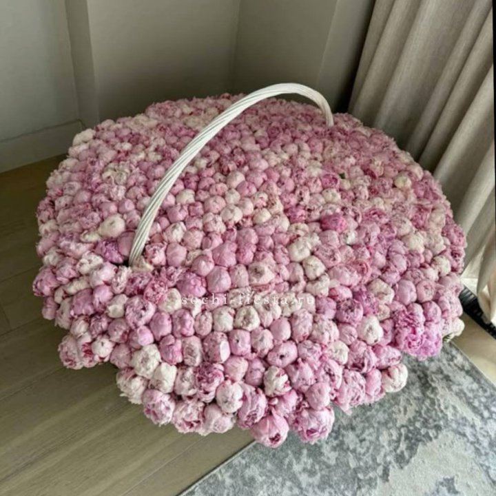 Корзина 555 пионов в Великом Новгороде