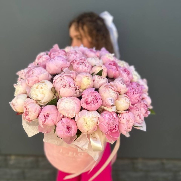 51 нежных пионов  в цилиндре в Великом Новгороде