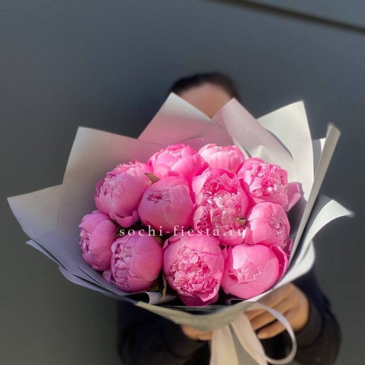 Пионы Алекс флеминг в Великом Новгороде