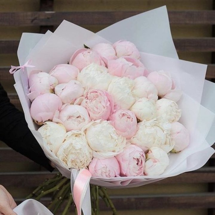 29 пионов в Великом Новгороде