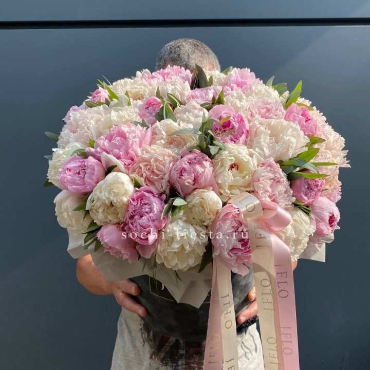 51 пионов в боксе в Великом Новгороде