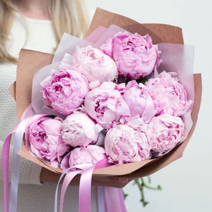 11 нежных пионов в Великом Новгороде