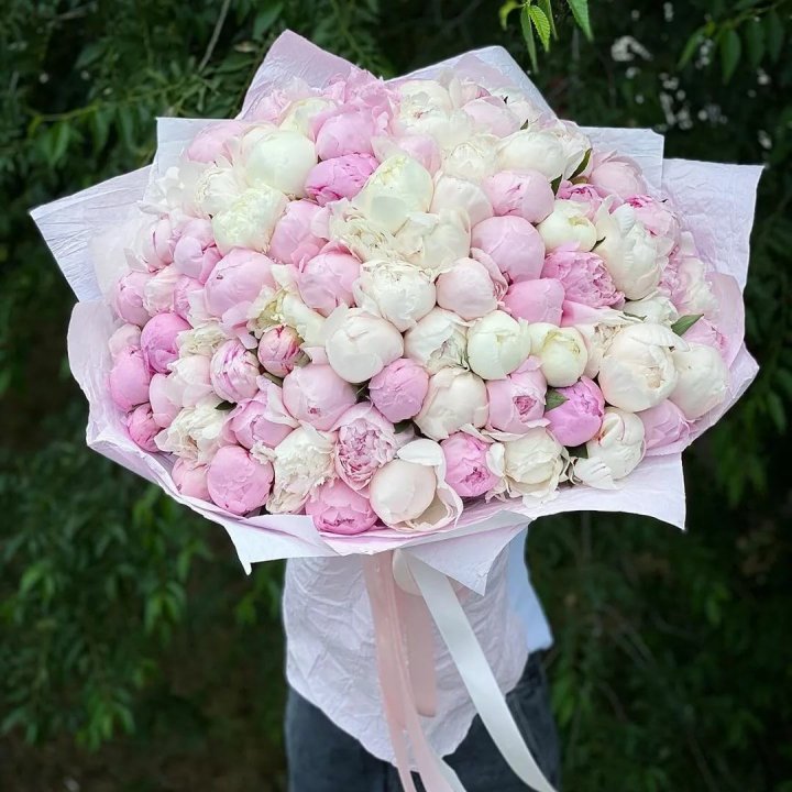 101 пион в Великом Новгороде