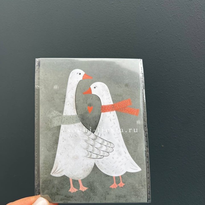 Открытка к букету "Гуси” в Великом Новгороде