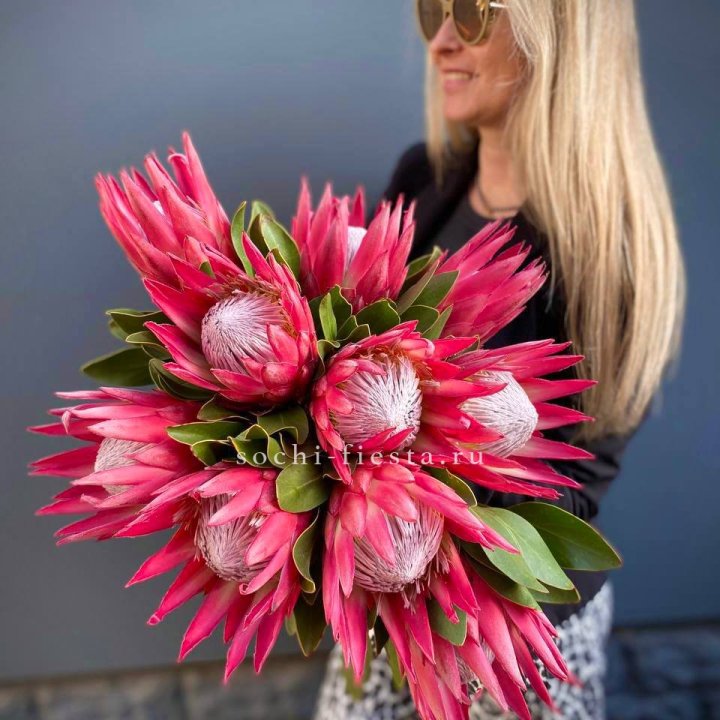 Протея штучно в Великом Новгороде