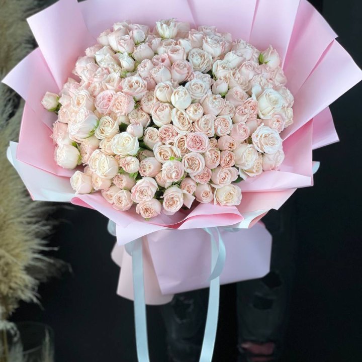 51 бомбастик  в Великом Новгороде