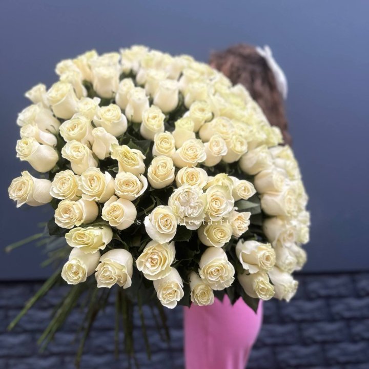 101 белая высокая импортная роза под ленту в Великом Новгороде