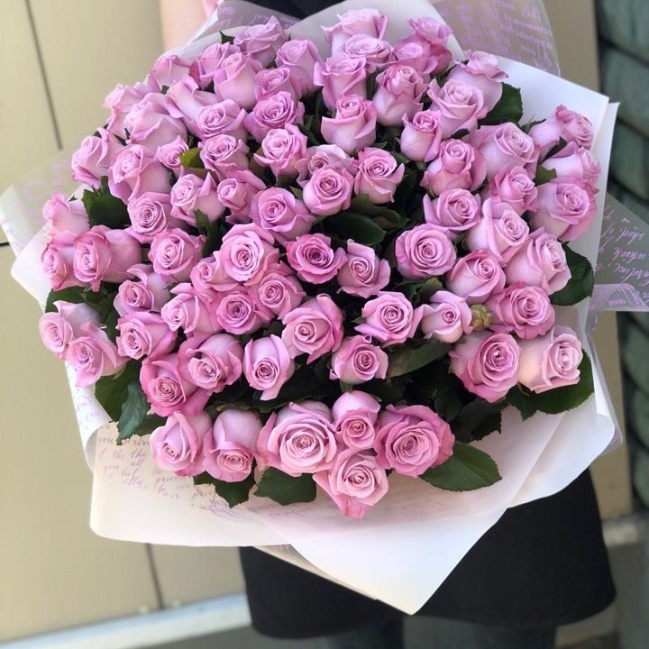 71 розовая роза "Маритим" в Великом Новгороде