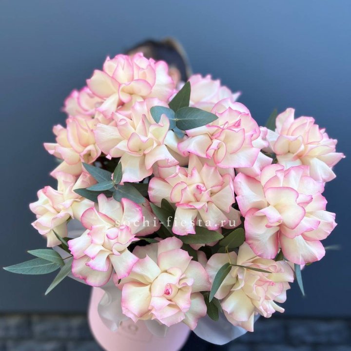 15 Французских роз Джумилия в боксе в Великом Новгороде