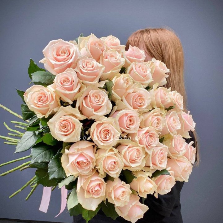 35 кремовых высоких роз в Великом Новгороде