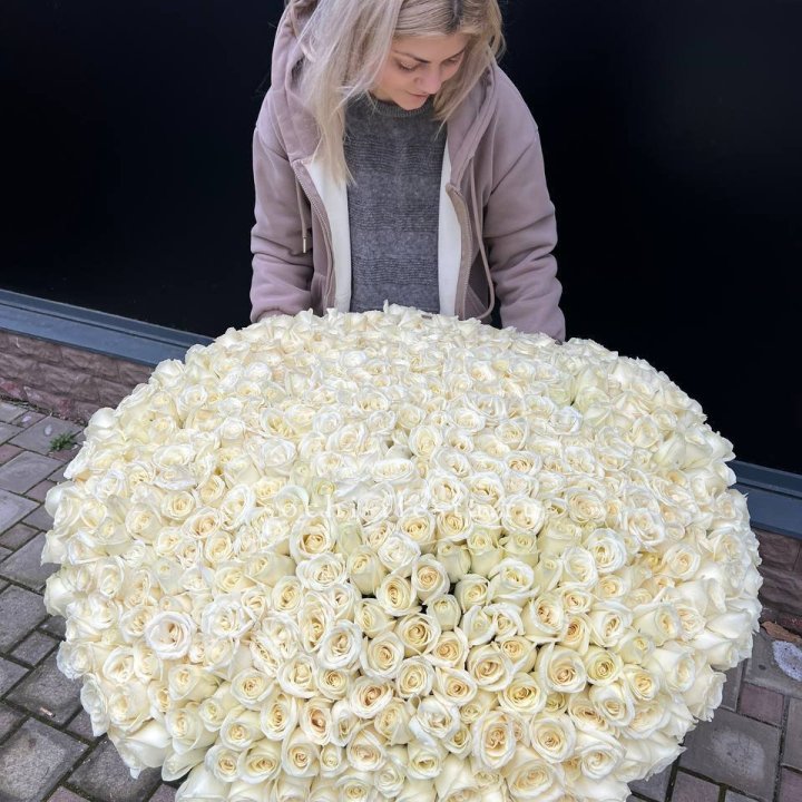 501 белая роза в корзине в Великом Новгороде