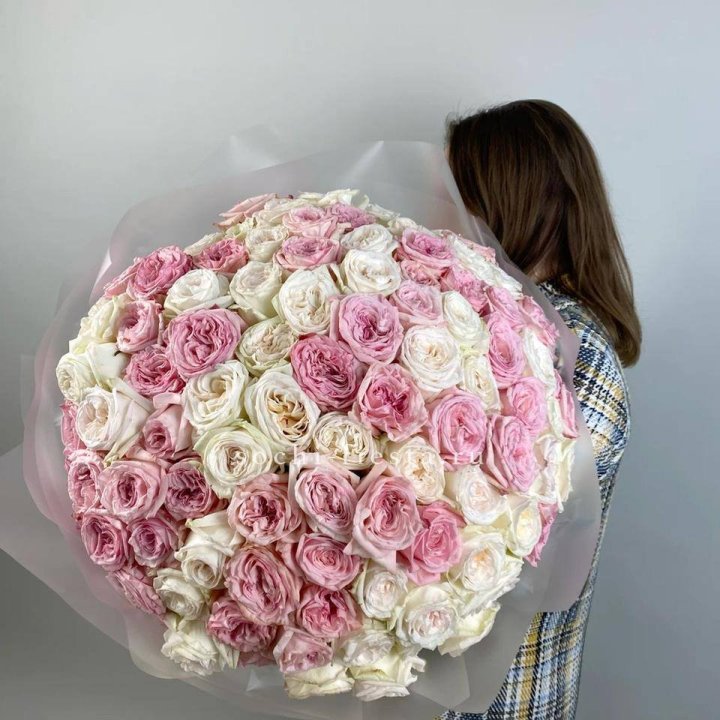 101 роз Охара в Великом Новгороде