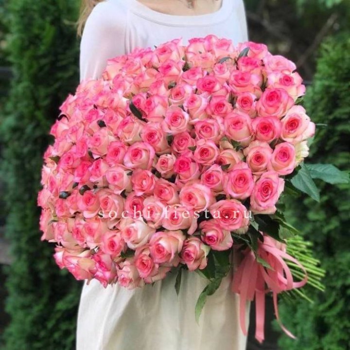 101  джумилия роза  в Великом Новгороде