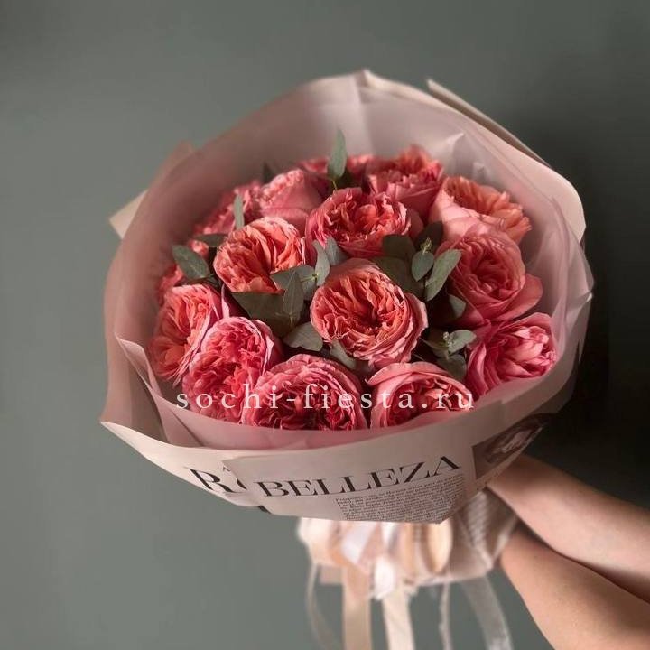 15 Пинк экспрешен в Великом Новгороде