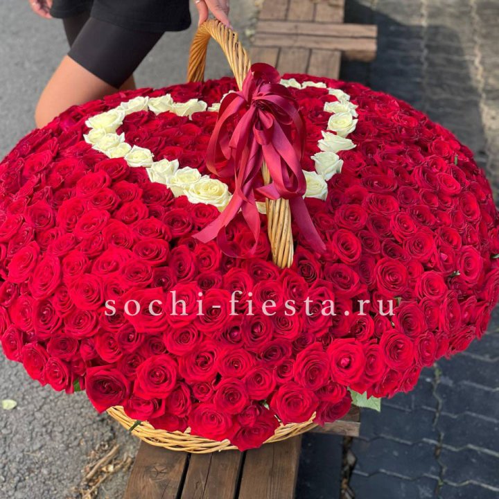 505 роз в Великом Новгороде