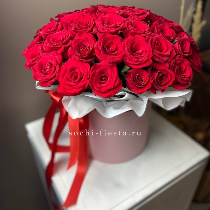 Красные розы 51шт  в коробке в Великом Новгороде