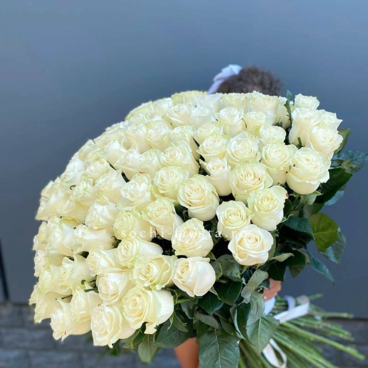 101 белая высокая роза в Великом Новгороде