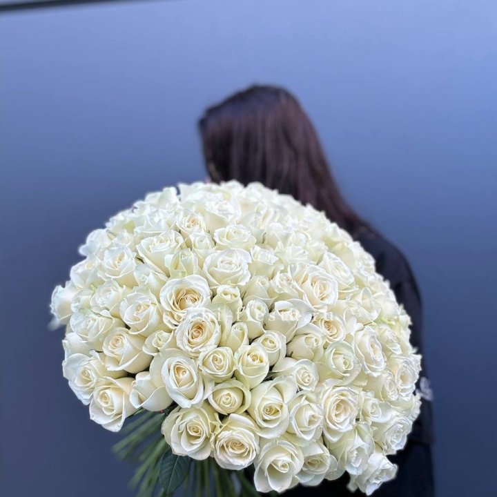 Охапка из 101 белой розы  в Великом Новгороде
