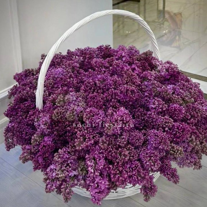 Корзина сирени в Великом Новгороде