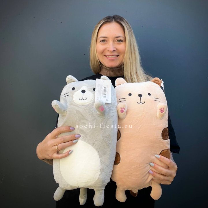Плюшевый Кот пирожок в Великом Новгороде