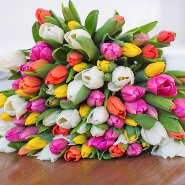 79 тюльпанов "Рандом" в Великом Новгороде
