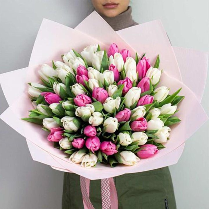 61 бело-розовый тюльпан в Великом Новгороде