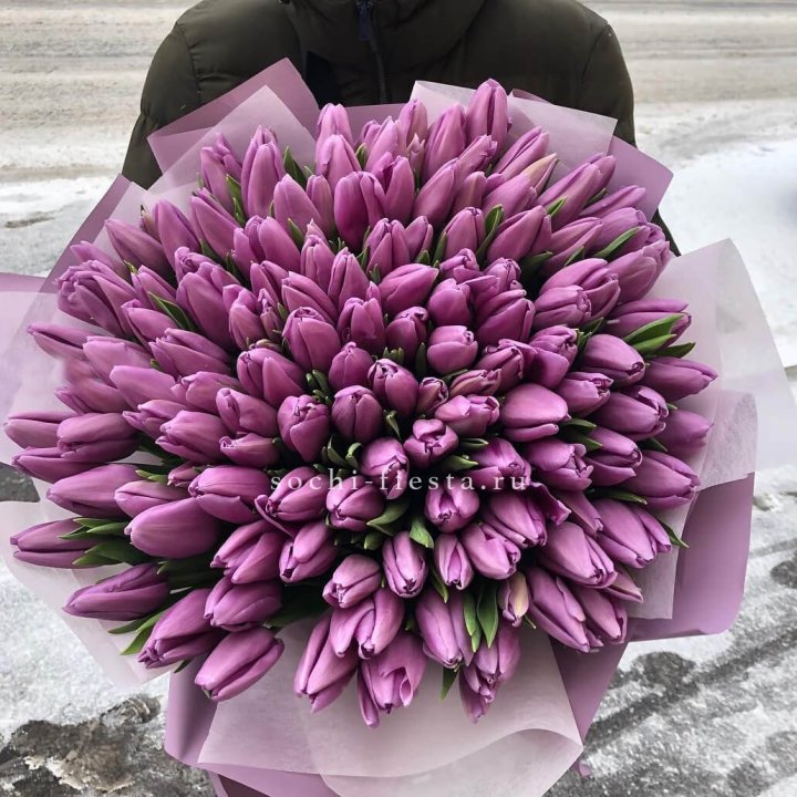 101 сиреневый тюльпан в Великом Новгороде
