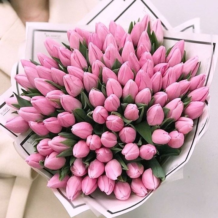 101 розовый тюльпан в белом в Великом Новгороде